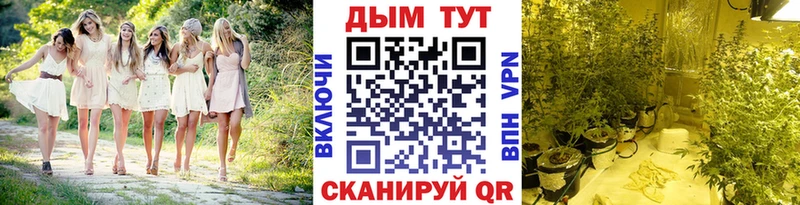 МАРИХУАНА VHQ  Назарово 